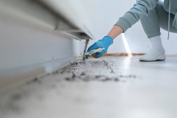 Best Exterminator Services  in Columbia, KY